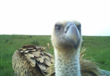 Minister Krischer: „Nationalpark Eifel ist ein voller Erfolg für Mensch, Natur und die Region“ 