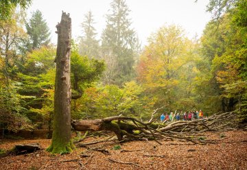 Minister Oliver Krischer: Nationalpark Eifel ist Aushängeschild für Nordrhein-Westfalen