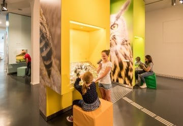 Mit Kindern in die „Wildnis(t)räume“ - jetzt Fahrtkostenzuschuss für Schulen und Kitas sichern 