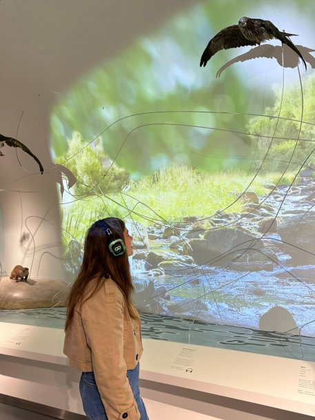 Mit Naturklängen und Musik: Beim Silent Event kann die Ausstellung „Wildnis(t)räume“ einmal aus einer neuen Perspektive erlebt werden.