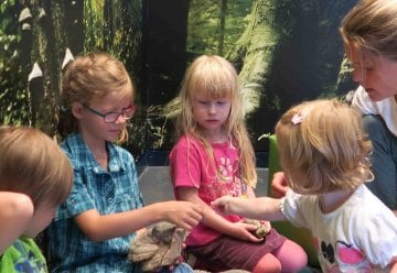 Mit den Jüngsten in die „Wildnis(t)räume“– jetzt Fahrtkosten ins Nationalpark-Zentrum Eifel sichern