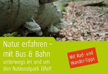 Mobilitätstipp: Nationalpark-Fahrplan &quot;Natur erfahren&quot;