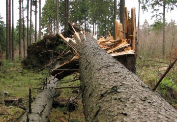 Mögliche Gefahren durch Sturmtief &quot;Sabine&quot; 
