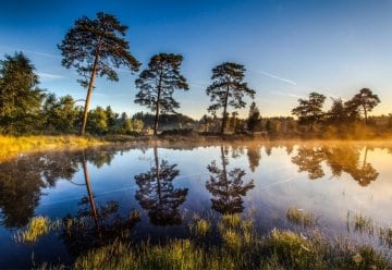 NRW-Moorschutzkonferenz 2024: Gemeinsam für den Schutz der Moore in Nordrhein-Westfalen