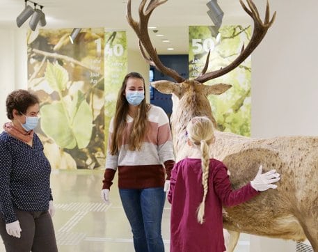 Nach längerer Zwangspause ist jetzt ein Besuch der Nationalpark-Ausstellung wieder möglich.