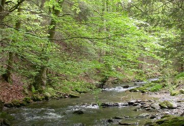 Namenswettbewerb in Rurberg anlässlich des 20-jährigen Bestehens von LIFE, Förderprogramm für Natur und Umwelt in Europa