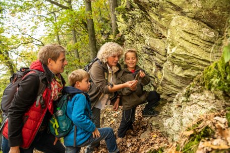 Nationalpark Eifel-2018-093.jpg