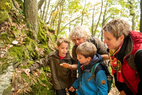 Nationalpark Eifel-2018-094.jpg