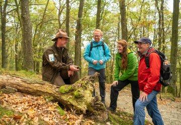 Nationalpark Eifel-2018-104.jpg