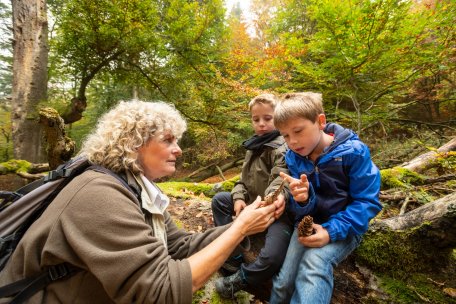Nationalpark Eifel-2018-186.jpg