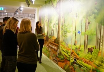 Nationalpark Eifel: Wildnis-Erweiterung, KI-Forschung und modernisierte Ausstellung – Ein bewegtes Jahr für den Nationalpark Eifel 