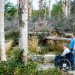 Nationalpark Eifel präsentiert barrierefreie Angebote zum Naturerleben auf Rehacare 