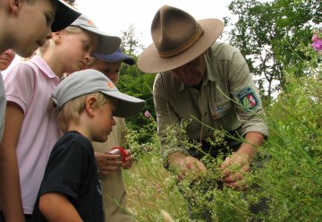 Nationalpark Eifel steigt im Wert, 19. Oktober 2006