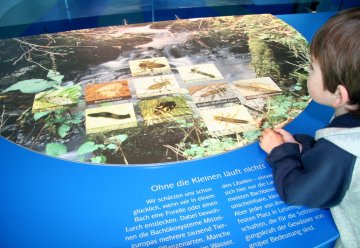 Nationalpark Eifel und Vogelsang beliebte Ausflugsziele, 27. Dezember 2006