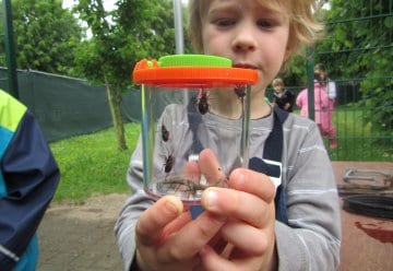 Nationalpark-Kitas: Einladung zur Auftakt-Informationsveranstaltung