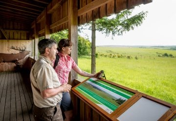 Nationalpark-Ranger bringen Ihnen den Nationalpark mit seiner besonderen Tier- und Pflanzenwelt näher.