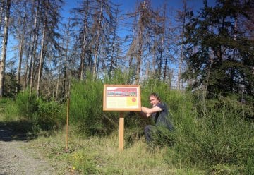 Neue Info-Tafeln weisen auf besonders gefährliche Wegeabschnitte aufgrund abgestorbener Fichten hin