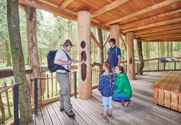 Neues Zertifikat: Wilder Kermeter und Wilder Weg im Nationalpark Eifel erreichen höchstmögliche Werte für Barrierefreiheit