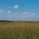 Offenland auf der Dreiborner Hochfläche.