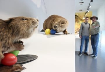 Ostereier suchen in den „Wildnis(t)räumen“