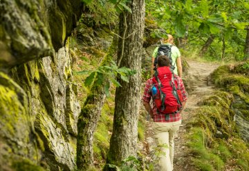 Quer durch - mitten drin: Das besondere Naturerlebnis auf vier Etappen