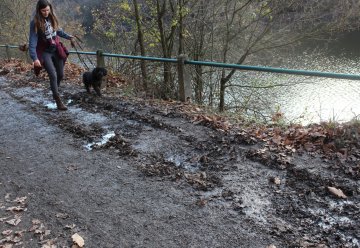 Radfahrende im Nationalpark Eifel können sich freuen: Oberseerandweg erhält neue Decke 