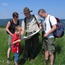 Regelmäßig bieten Nationalpark-Ranger und Waldführer geführte Touren durch den Nationalpark an.