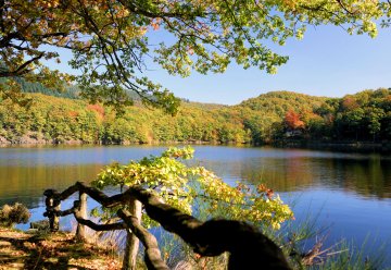 Reisende wählen Nationalpark Eifel als eine der beliebtesten Sehenswürdigkeiten Deutschlands