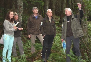 Rückkehr von Erle, Birke und Co im Nationalpark Eifel