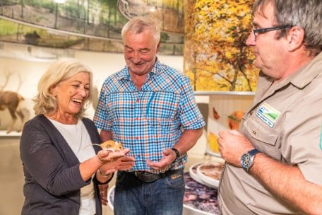 Samstags, sonntags und feiertags um 14 Uhr geht es mit einem Ranger auf eine etwa 90minütige Entdeckungstour durch die &quot;Wildnis(t)räume&quot;.