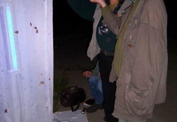 Schmetterlingsforscher treffen sich im Nationalpark Eifel