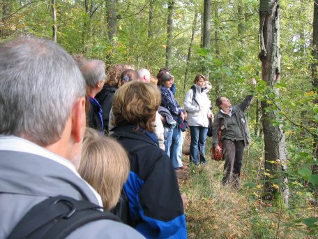 Selected forest guides speak English, for example, and some are able to communicate in German and Dutch sign language.