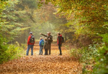 Spannende Spurensuche in herbstlichem Nationalparkwald 