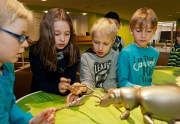 StädteRegion Aachen: Kitas und Schulen erhalten Bildungszugabe für Erlebnisausstellung „Wildnis(t)räume“