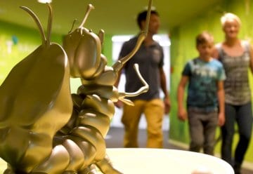 Staunen, Entdecken und mehr erfahren: Zu Besuch im Zentrum
