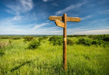 Stellenausschreibung der Nationalparkverwaltung
