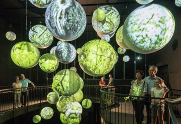 Stellenausschreibung der Nationalparkverwaltung