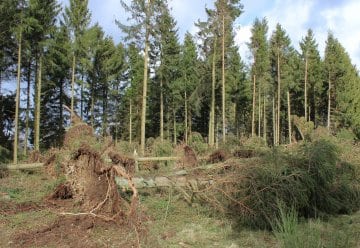 Sturmtief: Aktuelle Hinweise