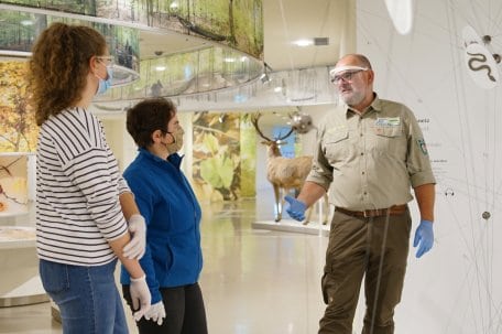 Täglich nimmt ein Nationalpark-Ranger während der Herbstferien in NRW Familien mit auf eine etwa 90minütige Entdeckungsreise durch die „Wildnis(t)räume“. 
