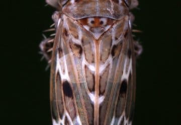 Tag des Ehrenamtes - Dankeschön an alle Nationalpark-Unterstützer!