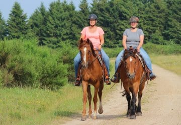 The National Park Authority has designated 65 kilometres of bridleways.
