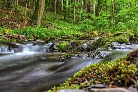 There are many different types of stream within the National Park.