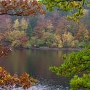 Titelfoto zum ersten Bildband über den Nationalpark Eifel, Obersee im Nationalpark Eifel.