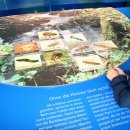 Über 130.000 Besucher kamen von Mai bis November in die drei neuen Nationalpark-Tore mit Ausstellungen. (Quelle: T. Geschwind)