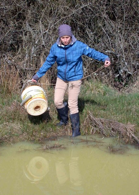 Umweltpraktikantin Clara Felz bei der Suche nach dem Kammmolch durch das Aufstellen von Reusen.