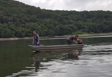 Untersuchung von Fischarten in der Urfttalsperre im Nationalpark Eifel