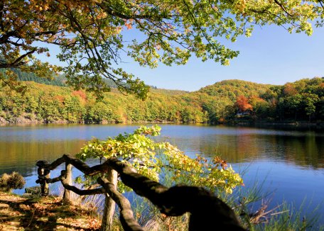 Urftsee_Herbst_Michael_Usadel_1504859372.jpg