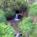 Vom Menschen geschaffene Bauwerke werden in fünf Jahren in den Gewässern des Projektgebietes nicht mehr zu finden sein. Foto: Nationalparkforstamt Eifel