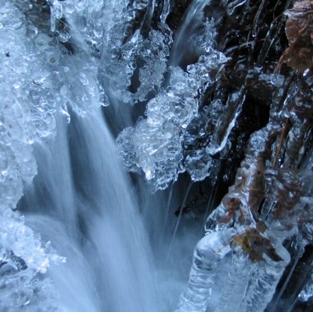 „Von Eiskristallen und Tierspuren&quot; lautet das Thema einer Rangertour am kommenden Samstag.