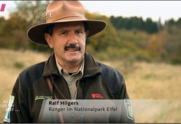 WDR-Filmtipp: Wildtiere in Nordrhein-Westfalen